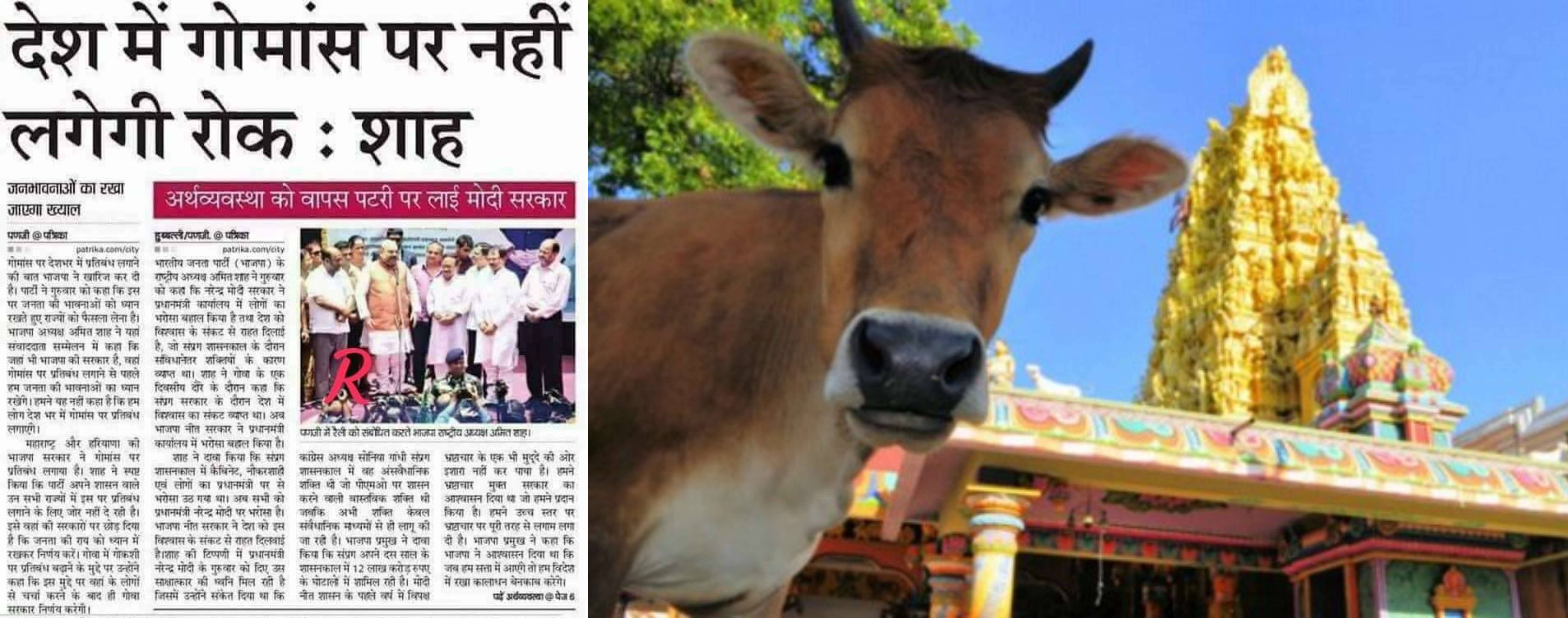 नित्य-प्रतिदिन गौ-शालाओं में हो रही गायों की मौत के पीछे कोई षड्यंत्र तो नहीं ?